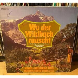 Wo der Wildbach Rauscht 33rpm VG+ AB37